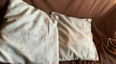 Homem &eacute; esfaqueado pela companheira durante discuss&atilde;o 