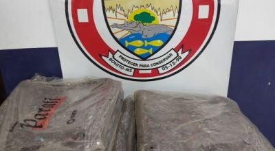 Defesa Civil e Guarda Civil realiza a&ccedil;&atilde;o solid&aacute;ria para auxiliar fam&iacute;lias  