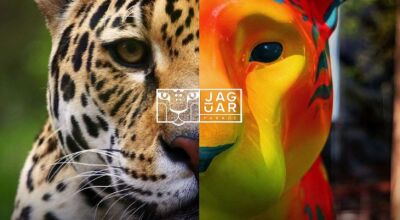 Mato Grosso do Sul e Jaguar Parade unem arte, conservação e turismo regenerativo