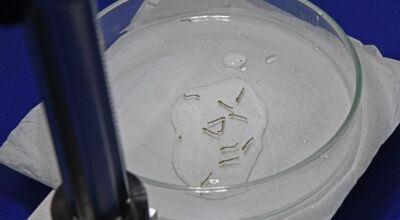 MS registra 4.834 casos confirmados de chikungunya
