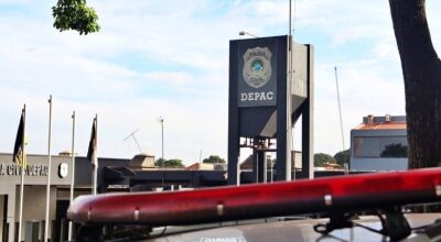 Idoso &eacute; esmagado por touros e morre em fazenda 