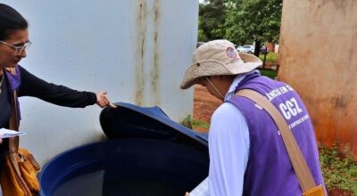 Chikungunya mata mais uma crian&ccedil;a em Mato Grosso do Sul