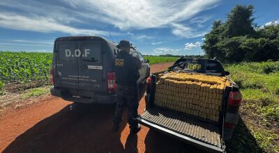 Opera&ccedil;&atilde;o Integrar apreende cerca de 2 toneladas de drogas e mobiliza for&ccedil;as de seguran&ccedil;a 