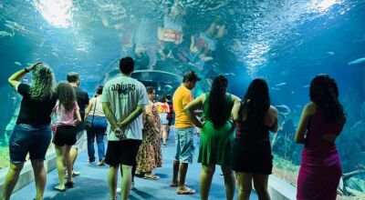 Bioparque Pantanal se prepara para sediar evento nacional de zoológicos e aquários