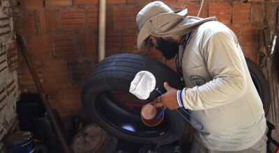MS registra 6.360 casos confirmados de chikungunya