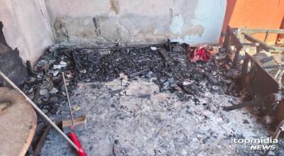Mulher teria matado cachorros queimados para atingir marido 