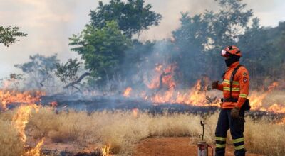 Bombeiros de MS se preparam para temporada de inc&ecirc;ndios florestais com treinamentos e a&ccedil;&otilde;es em campo