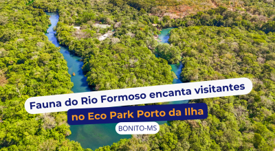 Fauna do Rio Formoso encanta visitantes durante os passeios no Eco Park Porto da Ilha