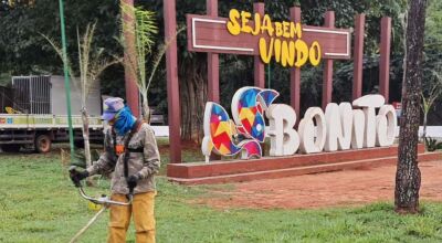 Prefeitura realiza ro&ccedil;ada e limpeza &agrave;s margens da MS-178