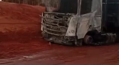 Tritem carregada de eucaliptos pega fogo em rodovia de MS