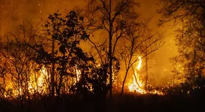 Auxiliar florestal ser&aacute; indenizado ap&oacute;s atuar no combate a inc&ecirc;ndios sem prote&ccedil;&atilde;o adequada