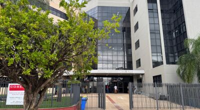 Justi&ccedil;a condena homem a quatro anos de pris&atilde;o por matar filhotes de cachorro