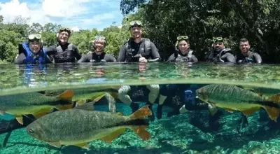 Bonito: O que saber e se perguntar antes de planejar a sua viagem?