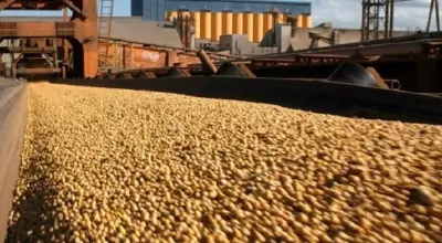 Exporta&ccedil;&otilde;es de Mato Grosso do Sul chegam a US$ 7,2 bilh&otilde;es  