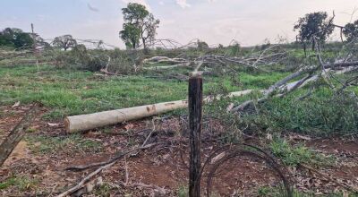 Trabalhador morre ao levar choque em cerca energizada por fio de alta tens&atilde;o 