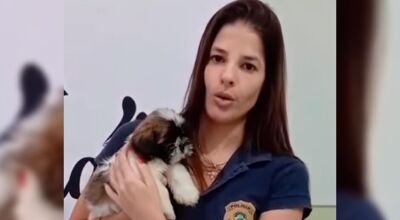 Mulher &eacute; presa por maus-tratos contra cachorrinha em MS