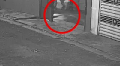 Tutor &eacute; denunciado por judiar de cachorro 