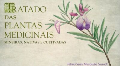 Livro gratuito re&uacute;ne detalhes de quase 400 esp&eacute;cies de plantas medicinais