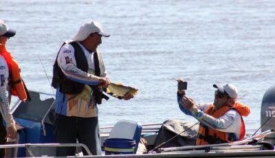 Festival de Pesca de Corumbá tem 121 peixes capturados e dourado é o destaque