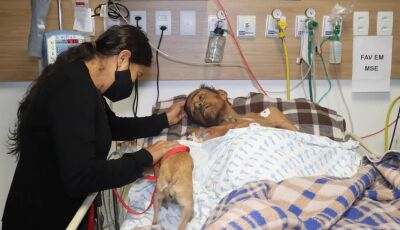 Cachorrinha viaja 58 km para se despedir de tutor internado em hospital de MS