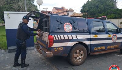 BONITO: Após furtar chácara velho conhecido no meio policial é preso pela GMB