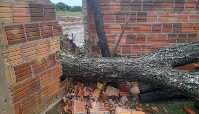 Ventos de mais de 100 km/h, resultou em quedas de árvores e imóveis destelhados em Bonito