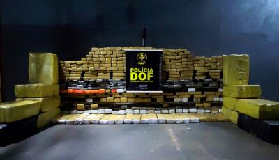 DOF apreende 800 quilos de drogas que seguiam para Campo Grande
