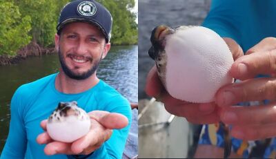VÍDEO: Pescador de MS pega peixe venenoso que 'quase explode' na mão; saiba qual é