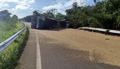 Carreta bitrem carregada de grãos tombou na MS-382 - entre Bonito e Guia Lopes - Veja Vídeo 