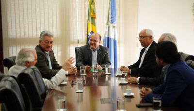 Ponte entre Mato Grosso do Sul e Paraná abre nova rota de desenvolvimento