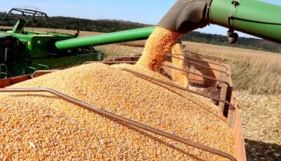 Produção agrícola do Estado deve superar 72 milhões de toneladas com renda acima dos R$ 52 bilhões