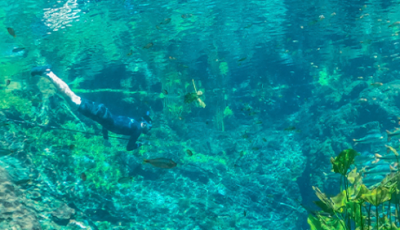 Bonito em julho: há muito o que fazer! Venha conhecer a Nascente Azul!