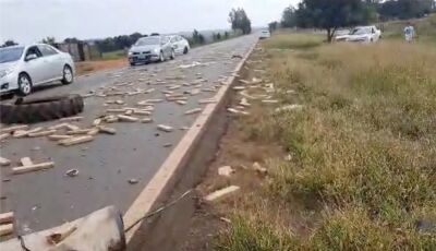 Traficante morre em colisão com caminhão; 500 kg de maconha ficam espalhados por rodovia