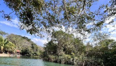 Tempo estável predomina e máxima deve chegar aos 35&ordm;C em MS