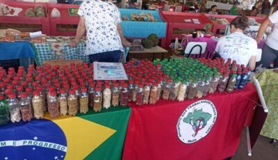 Servidores da Sema participam 17ª Feira de Sementes Nativas e Crioulas e de Produtos Agroecológicos