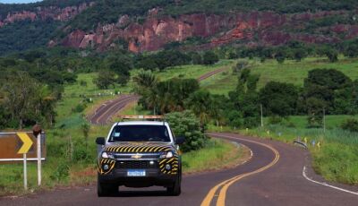 "Estrada Viva" amplia ações em rodovias para reduzir acidentes com animais silvestres