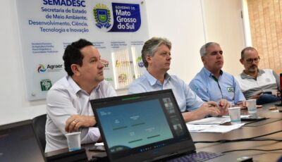 Reunião de Conselho corrige dados de desmatamento e aponta Pantanal com 84% de área preservada