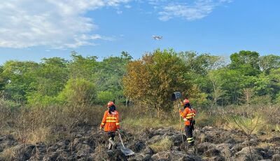 Com monitoramento em Bonito, Bombeiros atuam em outras três áreas do Pantanal