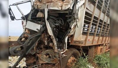 Motorista de caminhão morre preso às ferragens em acidente em estrada de MS