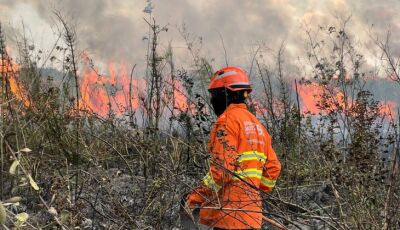 BONITO: Bombeiros atuam no controle de incêndio florestal; VEJA FOTOS