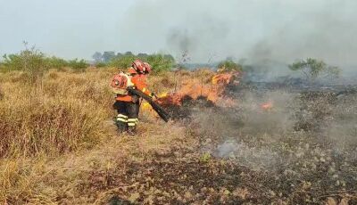 Bombeiros de MS atuam em três incêndios florestais no Pantanal