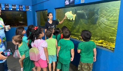 Alunos da Cei Izaltina Vieira Coelho e do Pré II visitam aquário em Bonito