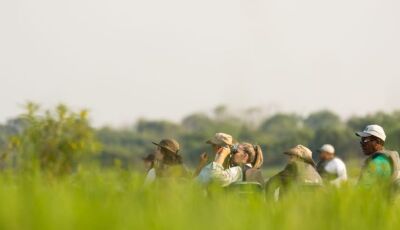 Turismo a partir da observação de aves é discutido no Pantanal de MS em evento histórico; CONFIRA
