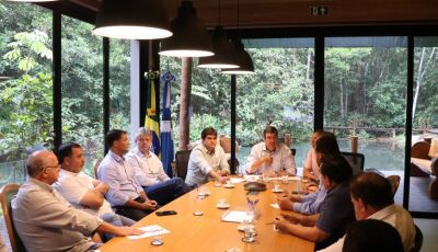 Lei do Pantanal: governo de MS se reúne com prefeitos pantaneiros e produtores