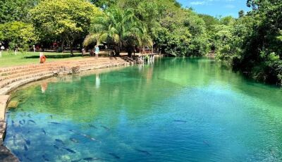 Balneário Municipal de Bonito estará fechado nesta terça-feira 