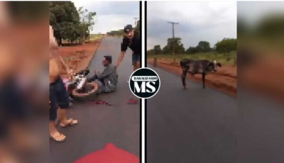 Homem morre após bater moto em vaca em Mato Grosso do Sul