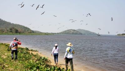 Redução de imposto e ambiente positivo incentivam novos empreendedores no coração da Rota Bioceânica