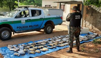 Operação Piracema: ações intensificadas e resultados significativos contra a pesca predatória