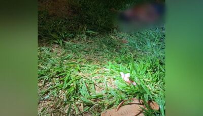 Jovem é encontrado morto esfaqueado em Mato Grosso do Sul