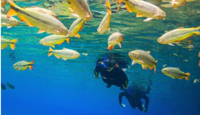 Como Bonito, paraíso do ecoturismo, ajuda a frear o aquecimento global